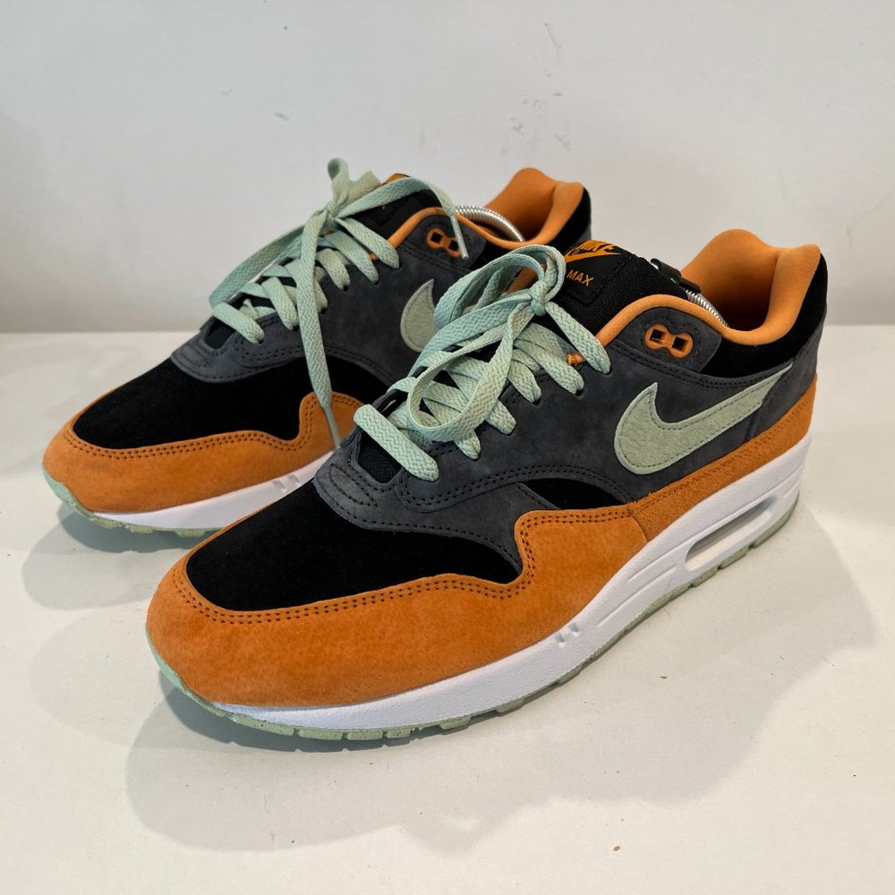 Size 10.5 - Nike Air Max 1 PRM Ugly Duckling - Honeydew 2022